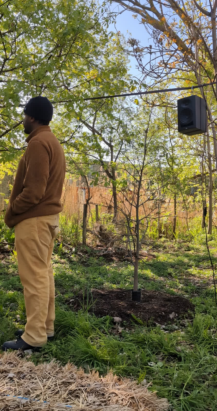 A person standing on a wooded slope, listening