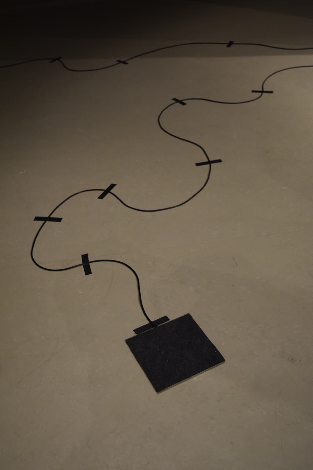 tendrenetic, a tendril sensor on the gallery floor